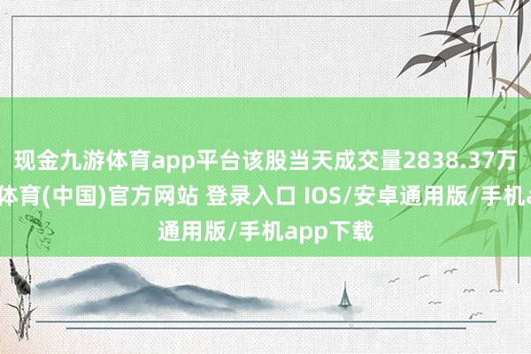 现金九游体育app平台该股当天成交量2838.37万股-九游体育(中国)官方网站 登录入口 IOS/安卓通用版/手机app下载