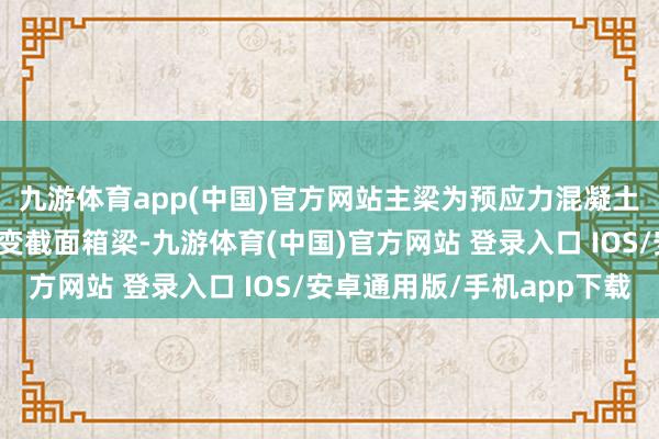 九游体育app(中国)官方网站主梁为预应力混凝土单箱单室、变高度、变截面箱梁-九游体育(中国)官方网站 登录入口 IOS/安卓通用版/手机app下载