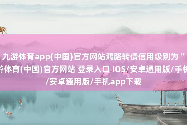 九游体育app(中国)官方网站鸿路转债信用级别为“AA”-九游体育(中国)官方网站 登录入口 IOS/安卓通用版/手机app下载